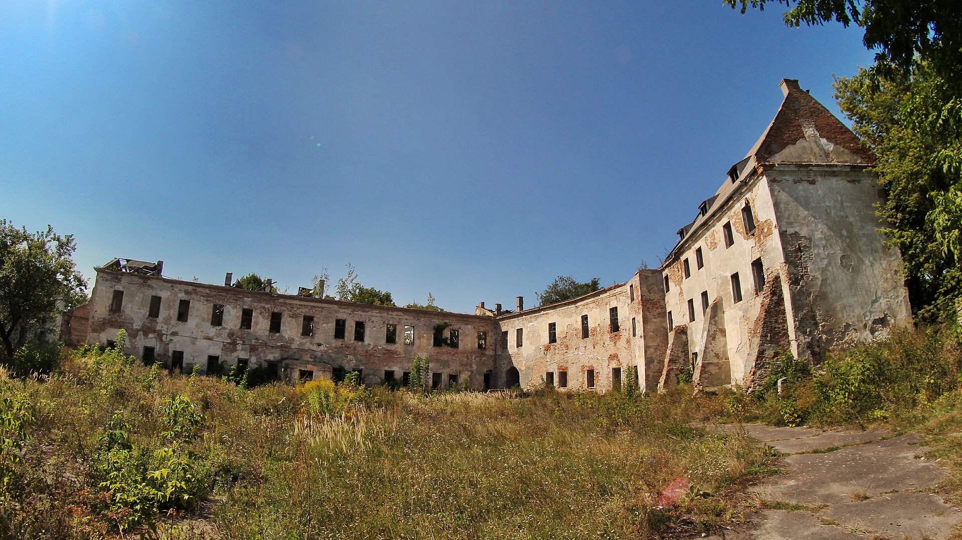 Легенди та краса природи. Чому варто побачити Тунель Кохання навесні